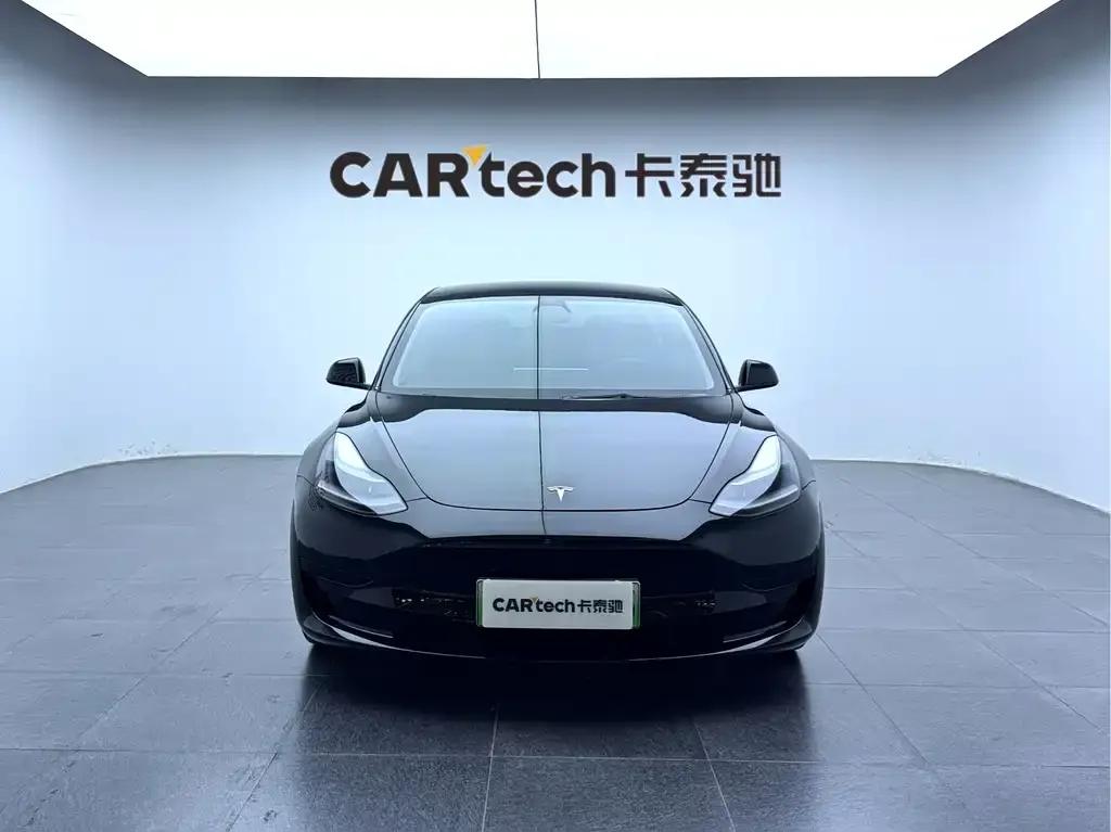 Tesla Model 3 2021 из CN, фото 4