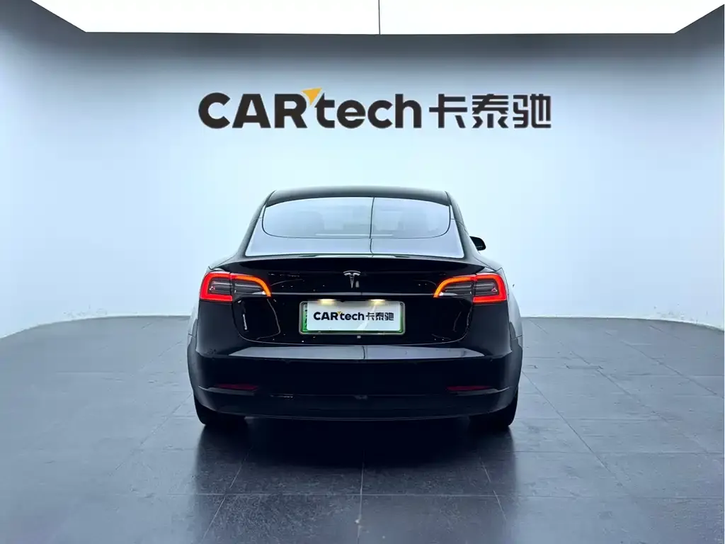 Tesla Model 3 2021 из CN, фото 2