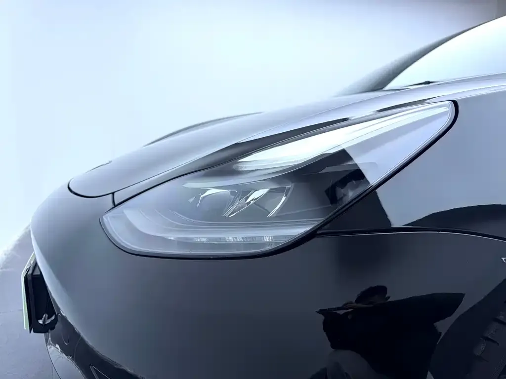 Tesla Model 3 2021 из CN, фото 6