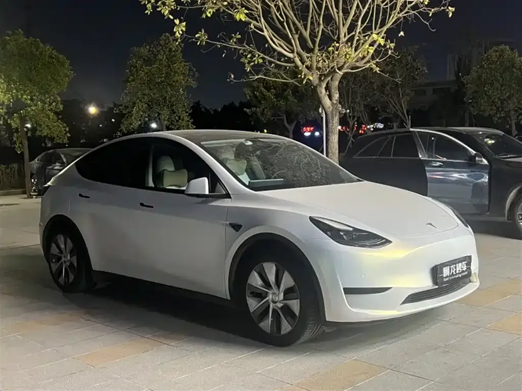 Tesla Model Y — фото 8