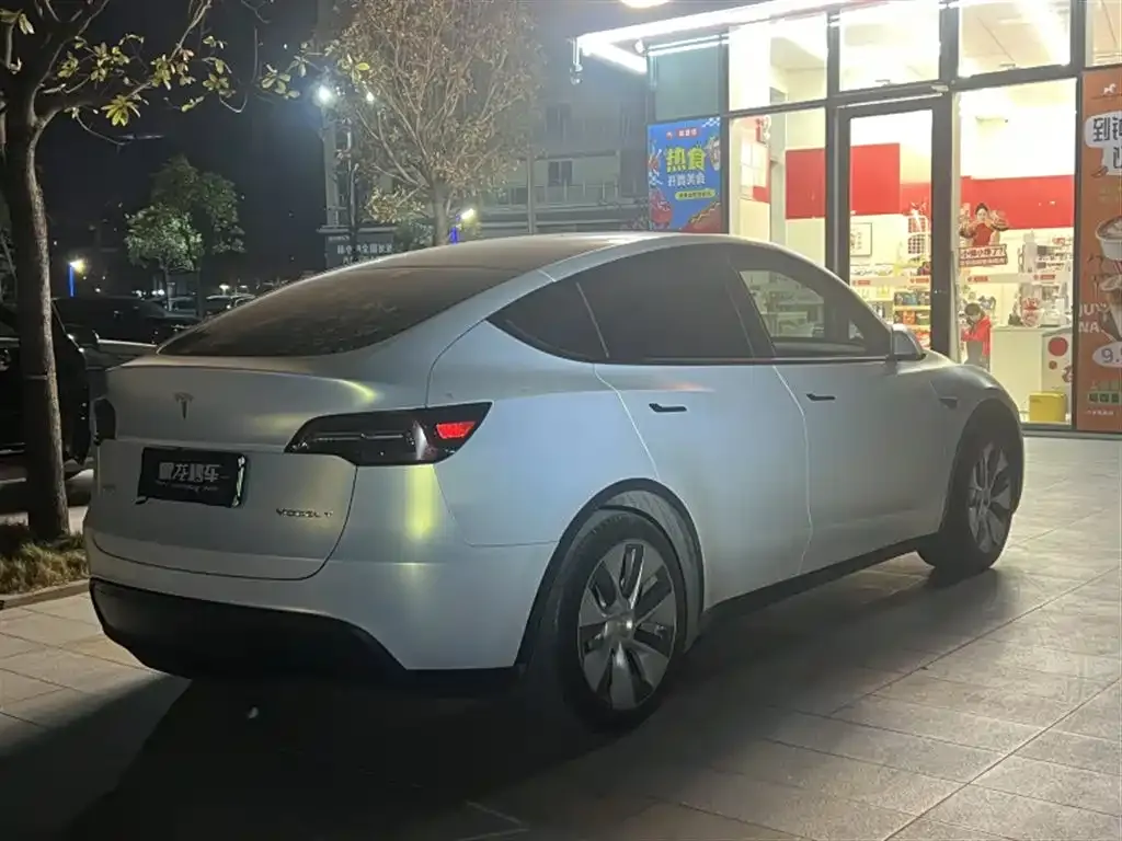 Tesla Model Y — фото 9