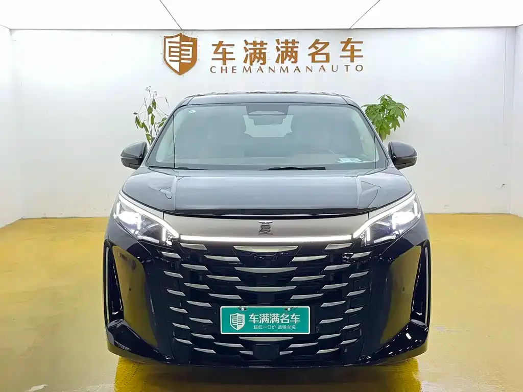 BYD Xia 2025 из CN, фото 5