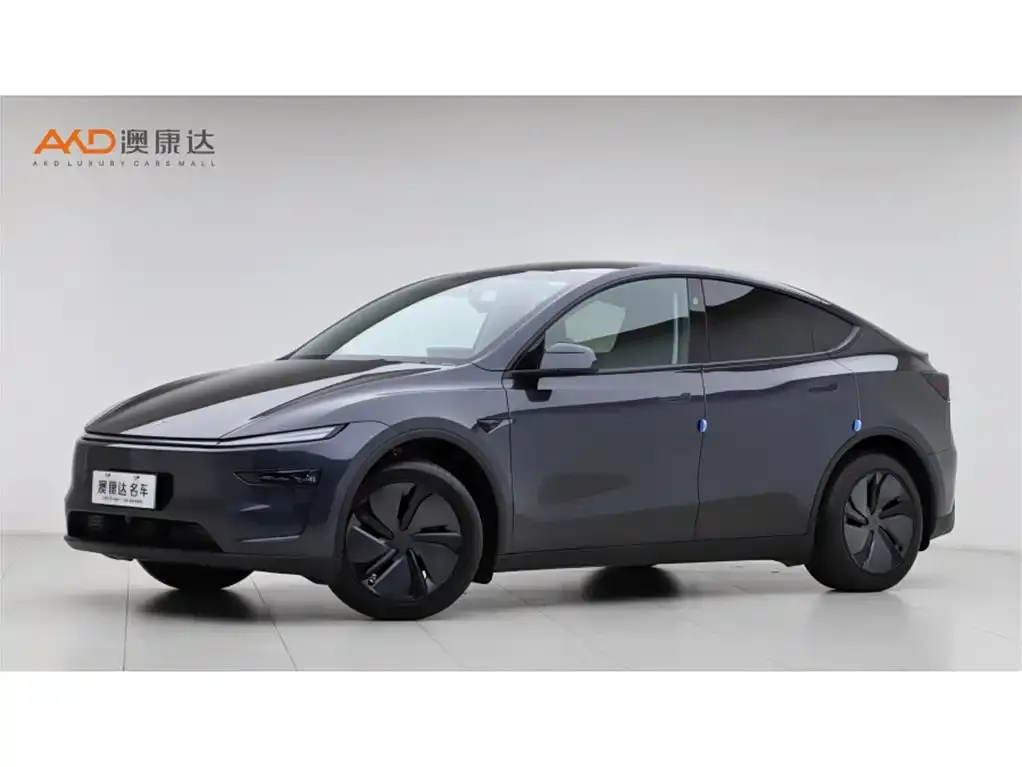 Tesla Model Y 2025 из CN, фото 1