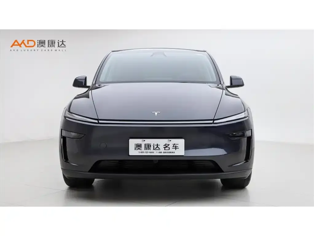 Tesla Model Y 2025 из CN, фото 4