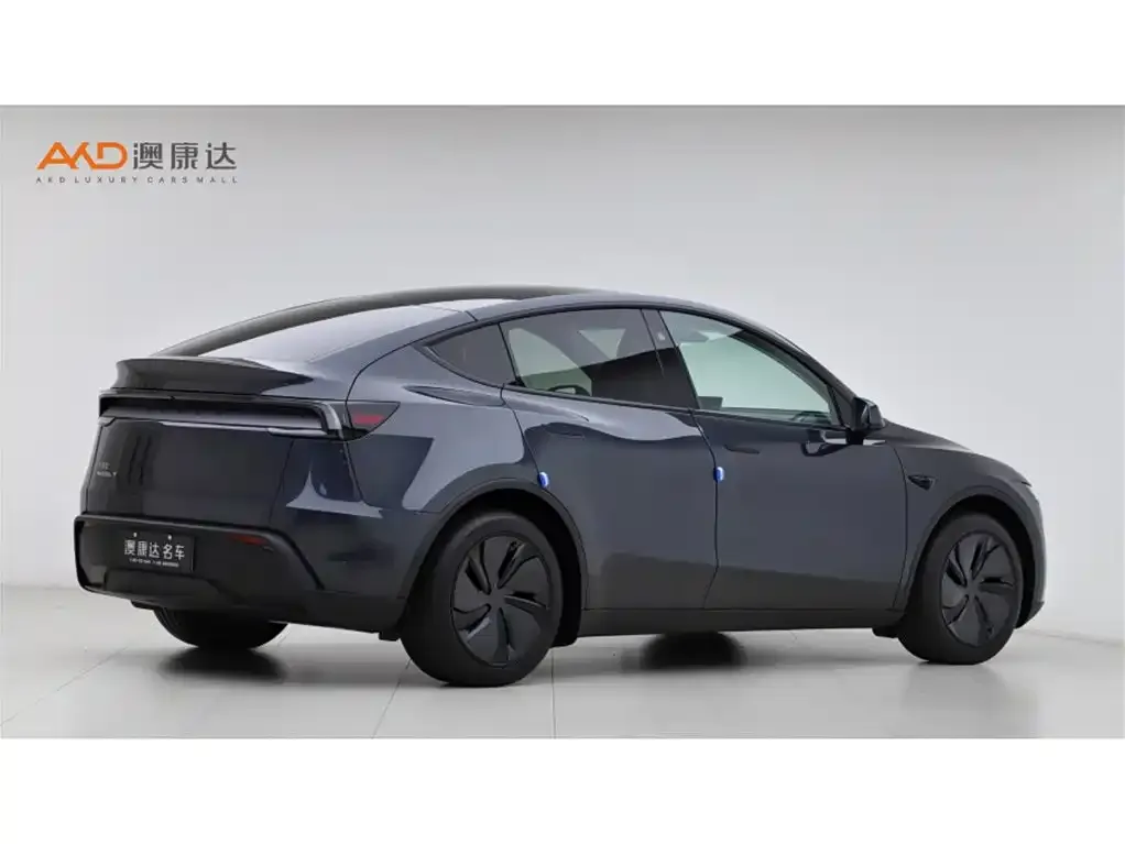 Tesla Model Y 2025 из CN, фото 8