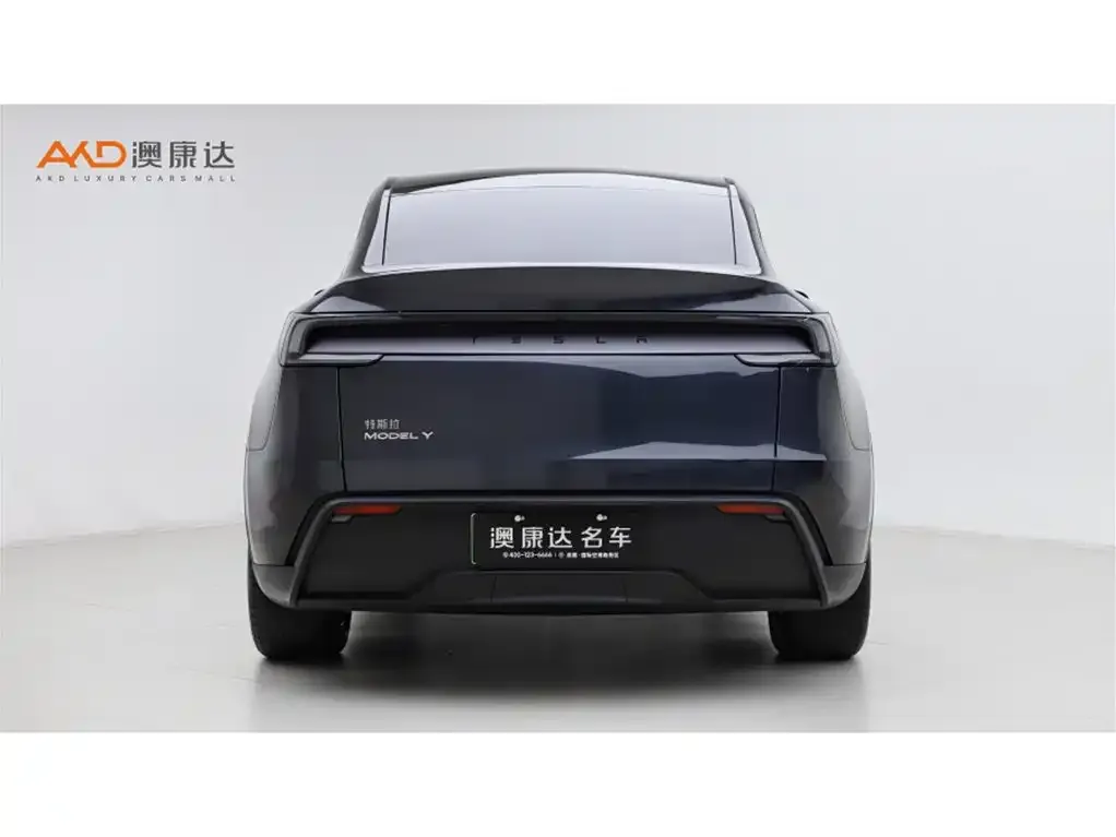 Tesla Model Y 2025 из CN, фото 10