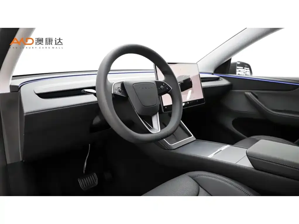 Tesla Model Y 2025 из CN, фото 5