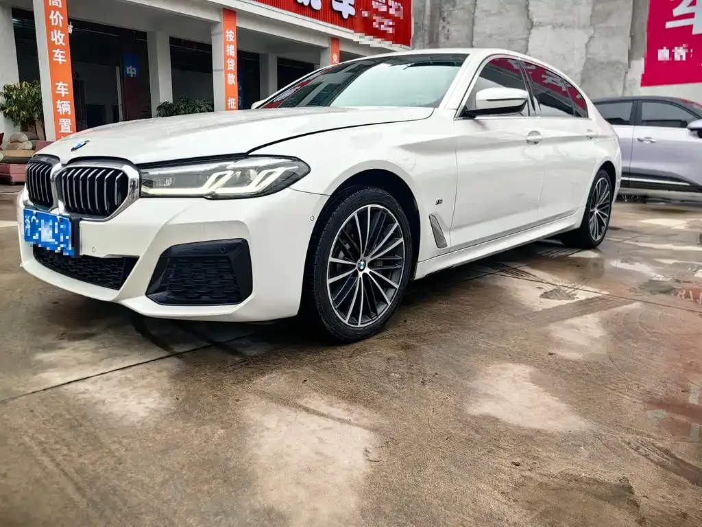 BMW 5 Series 2022 из CN, фото 1