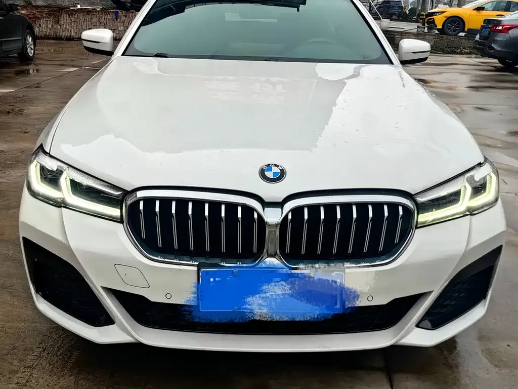 BMW 5 Series 2022 из CN, фото 3