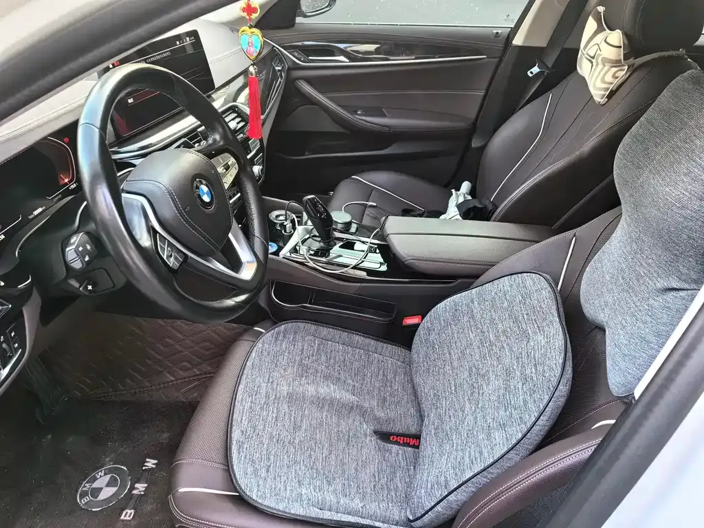 BMW 5 Series 2021 из CN, фото 6