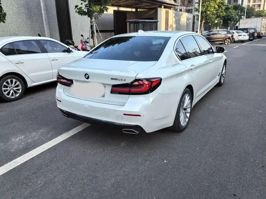 BMW 5 Series 2021 из CN, фото 4