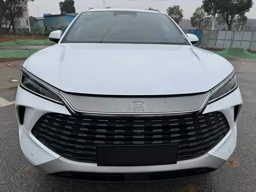 BYD L DM-i — фото 2