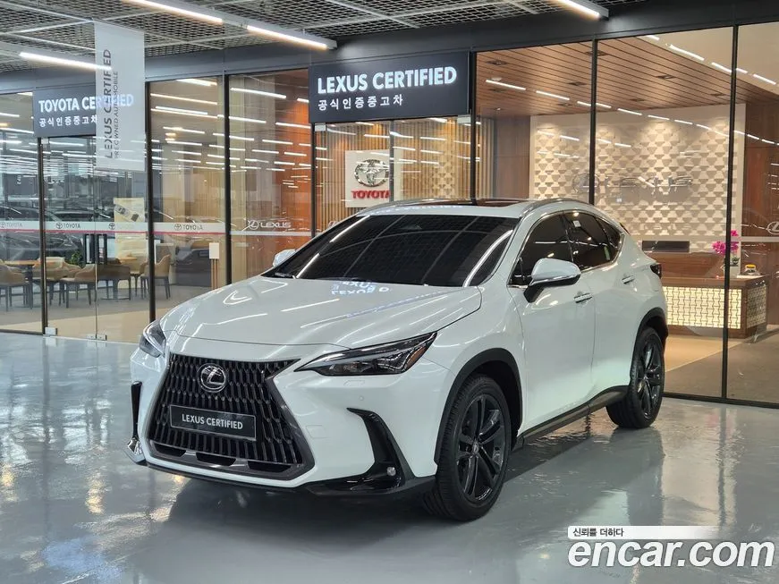 Lexus NX 2025 из KR, фото 1