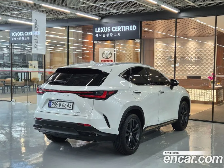 Lexus NX 2025 из KR, фото 3