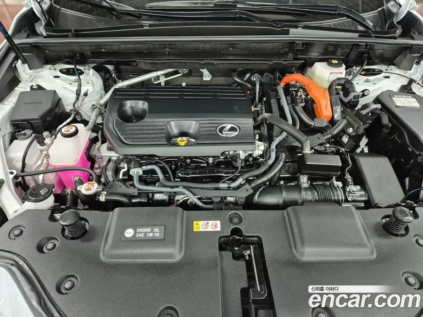 Lexus NX 2025 из KR, фото 7