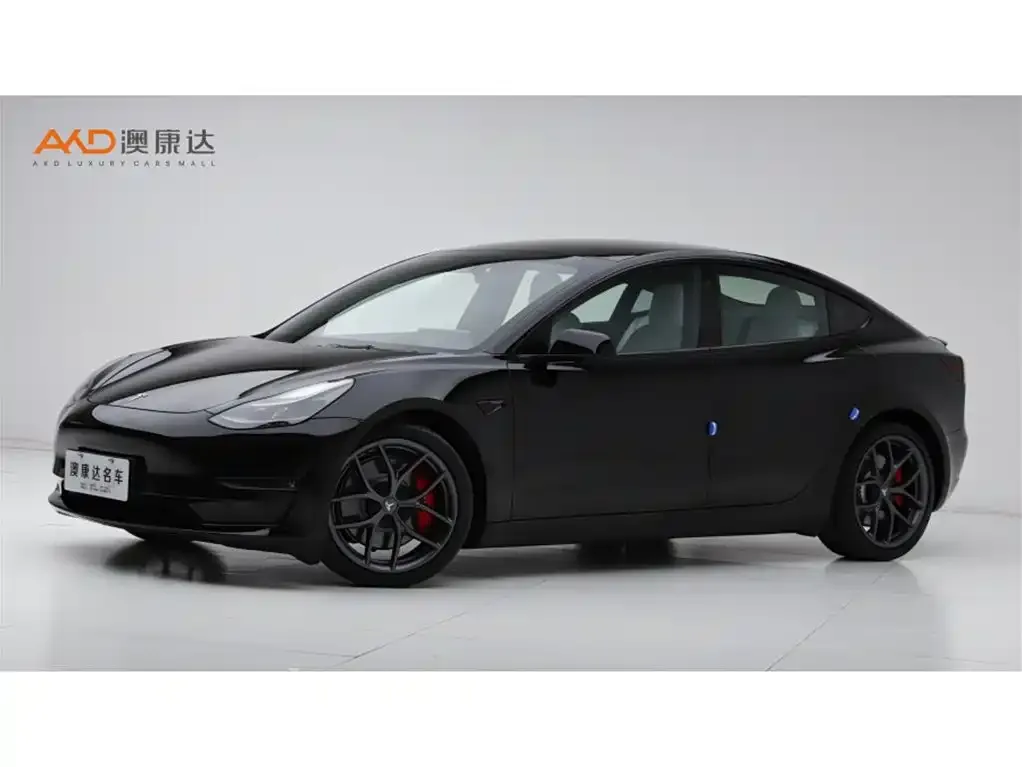 Tesla Model 3 2021 из CN, фото 1