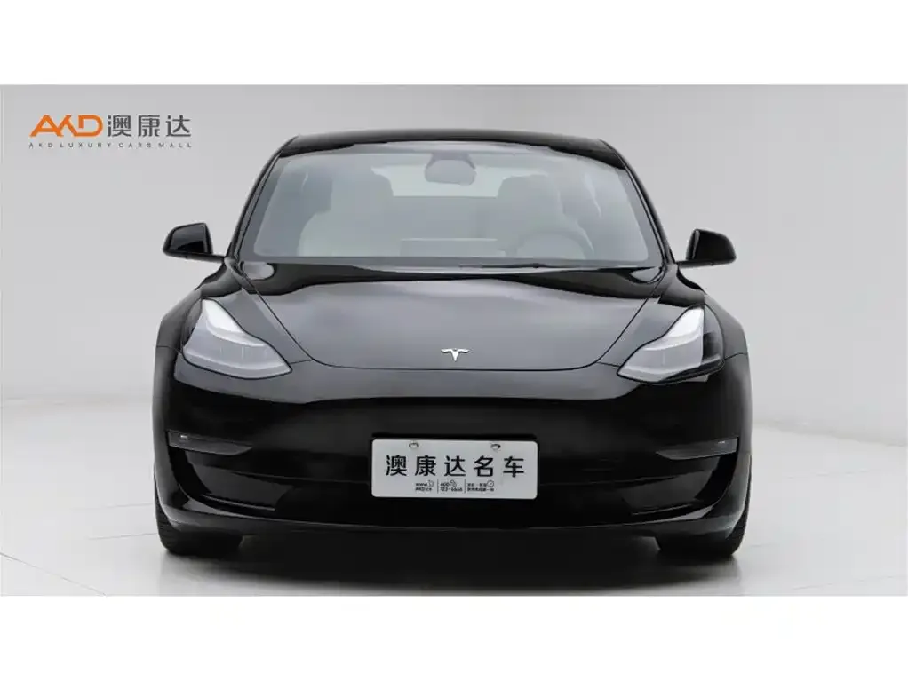 Tesla Model 3 2021 из CN, фото 2