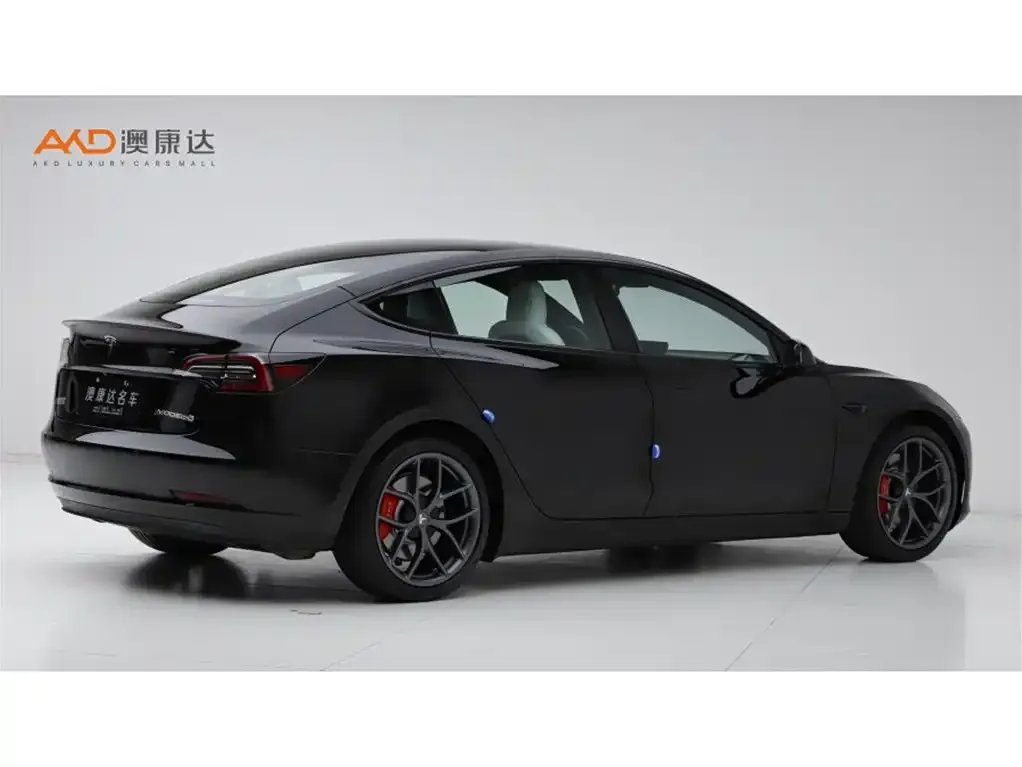 Tesla Model 3 2021 из CN, фото 5