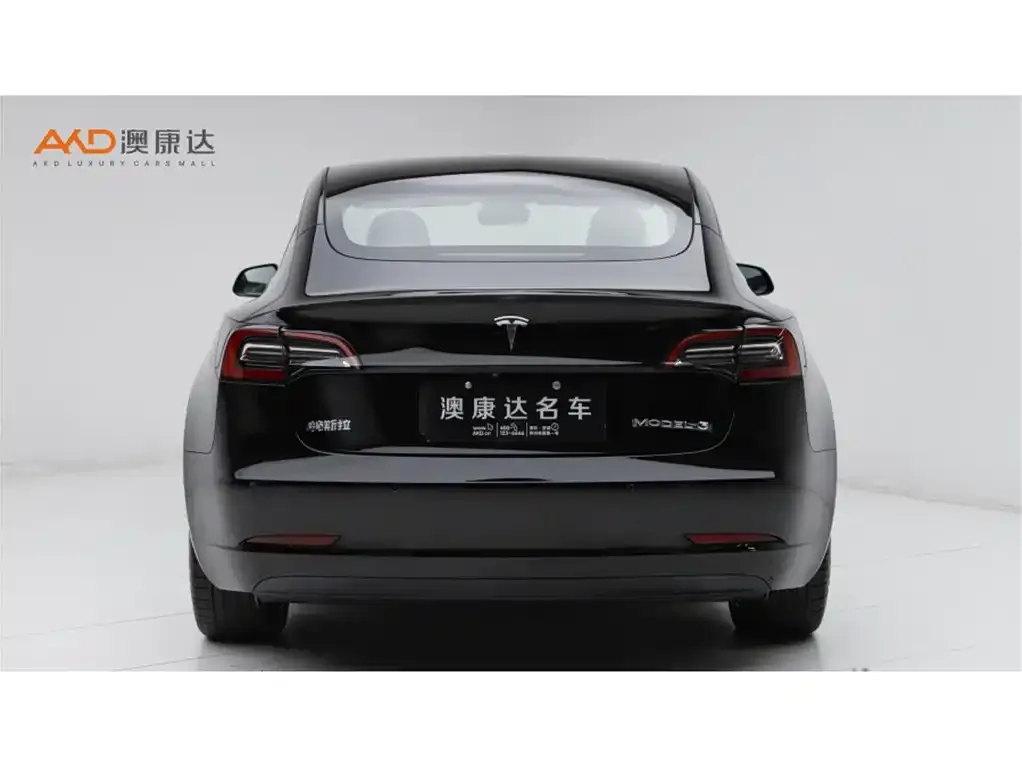 Tesla Model 3 2021 из CN, фото 3