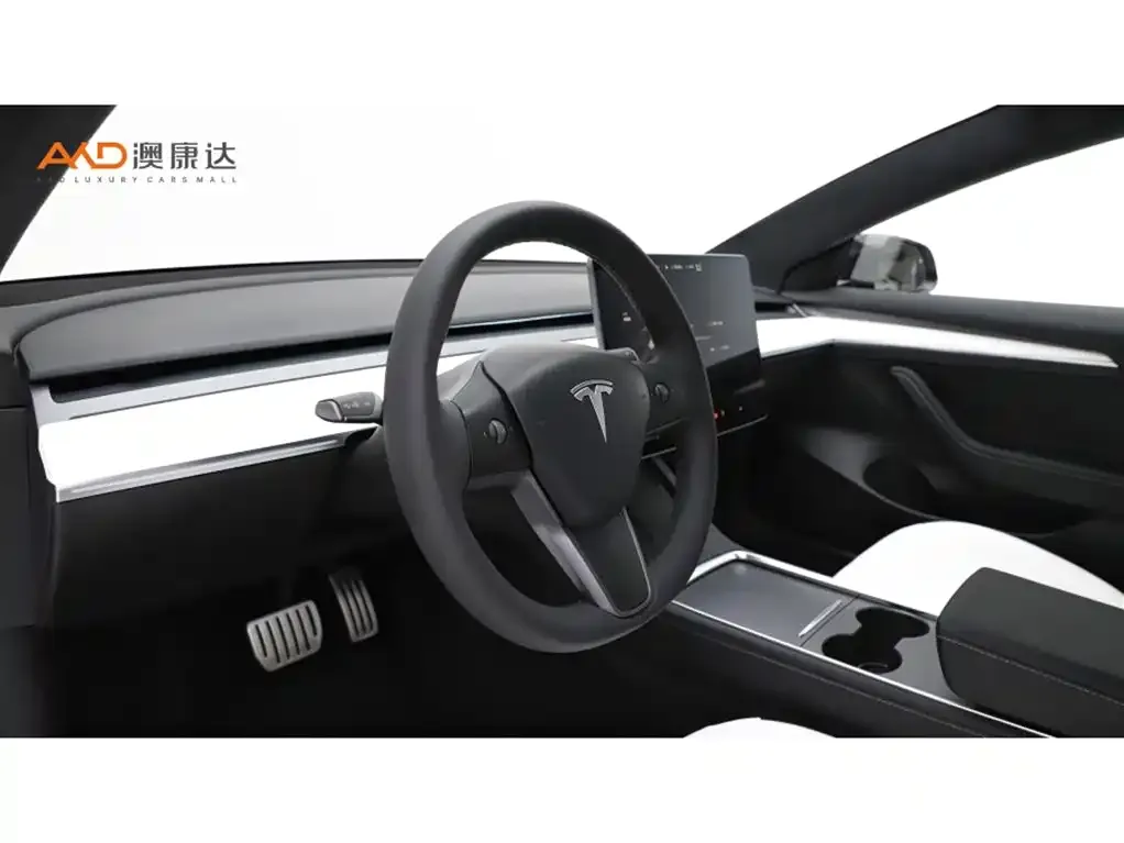 Tesla Model 3 2021 из CN, фото 7