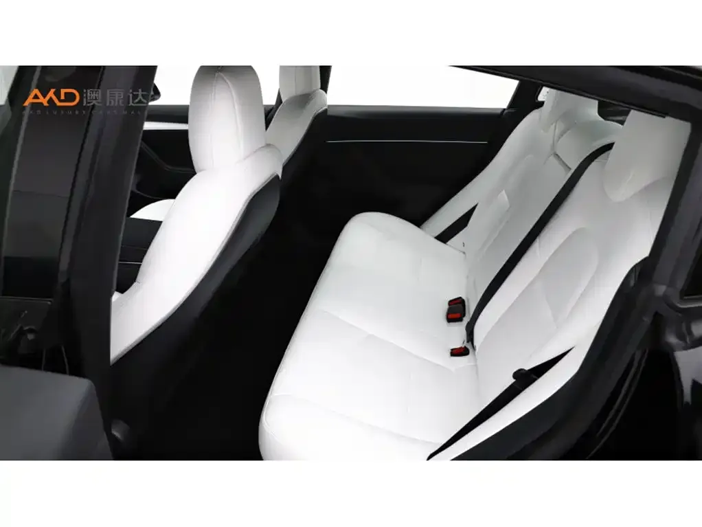 Tesla Model 3 2021 из CN, фото 10