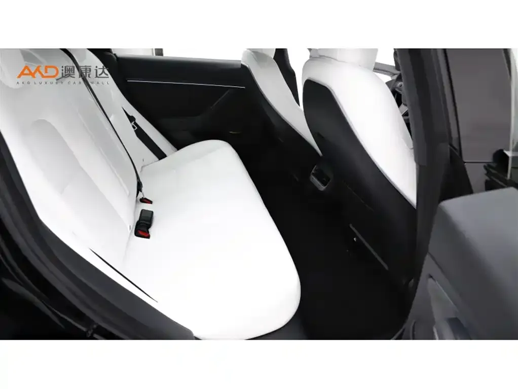 Tesla Model 3 2021 из CN, фото 8