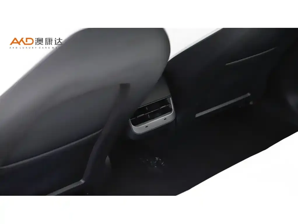 Tesla Model 3 2021 из CN, фото 9
