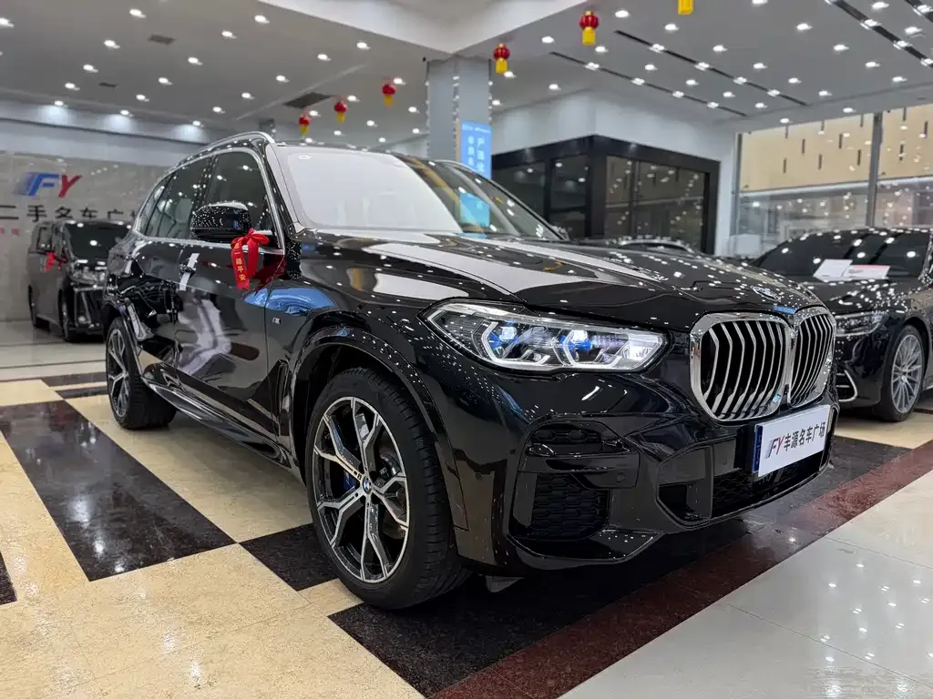 BMW X5 (Import) 2022 из CN, фото 9