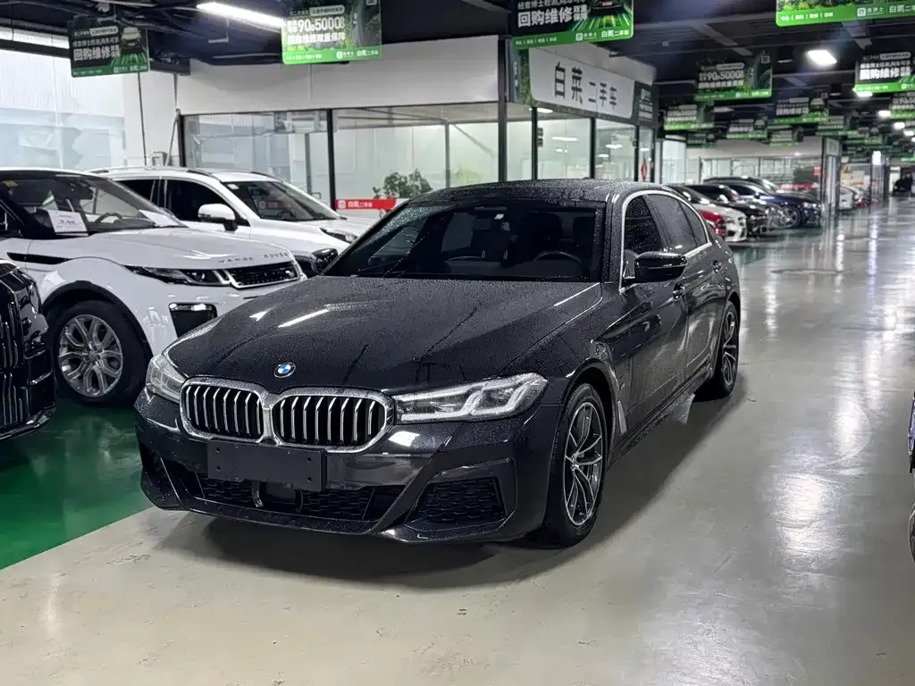 BMW 5 Series New Energy 2021 из CN, фото 1