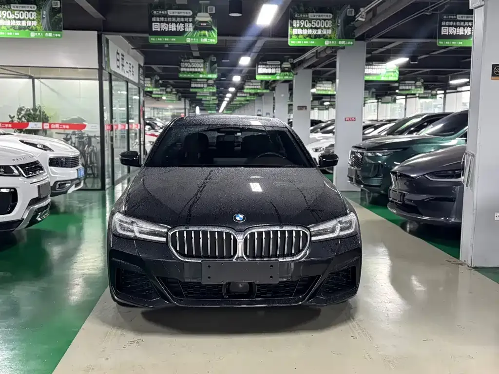 BMW 5 Series New Energy 2021 из CN, фото 5