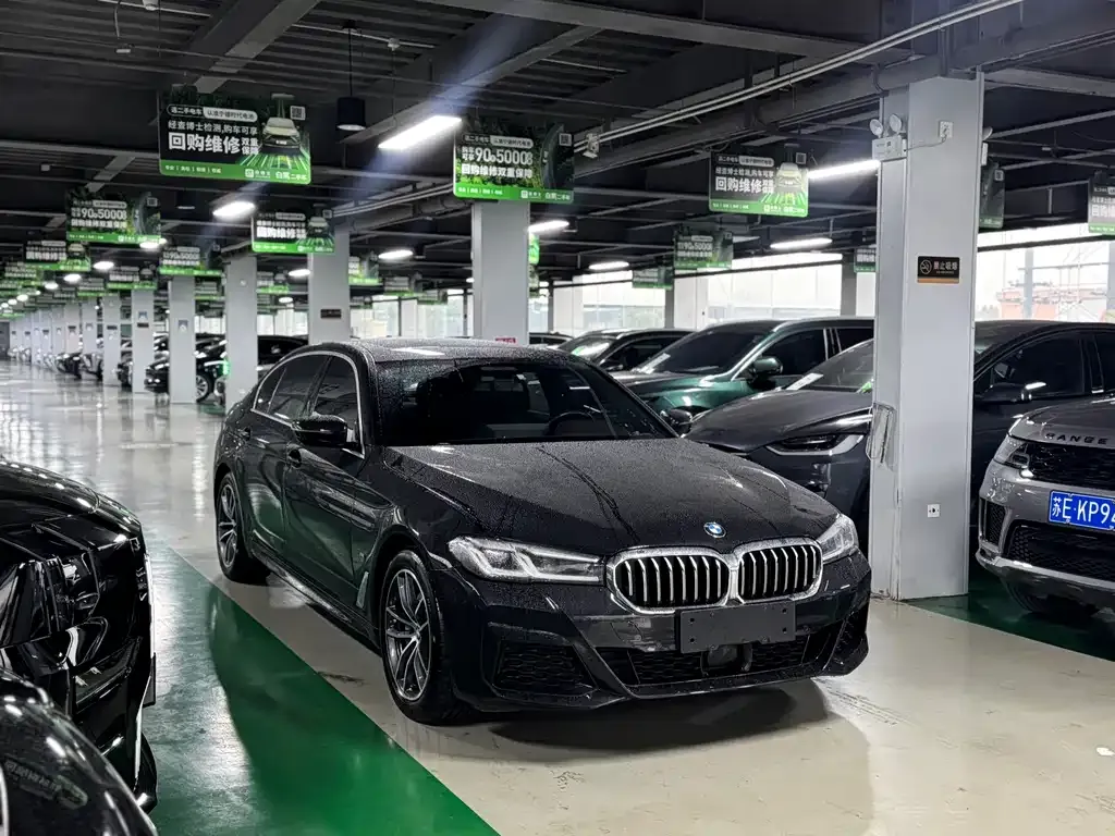 BMW 5 Series New Energy 2021 из CN, фото 9