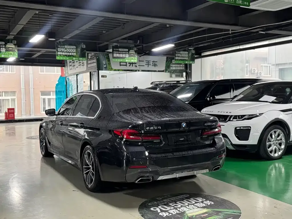 BMW 5 Series New Energy 2021 из CN, фото 8