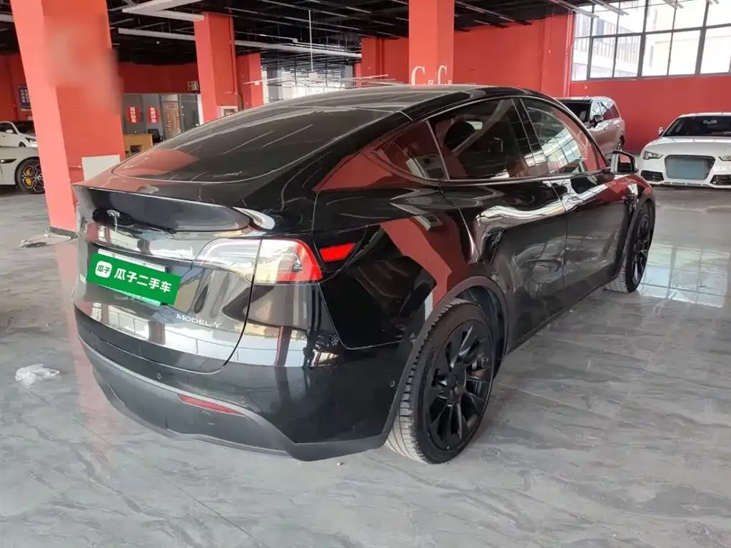 Tesla Model Y 2022 из CN, фото 9