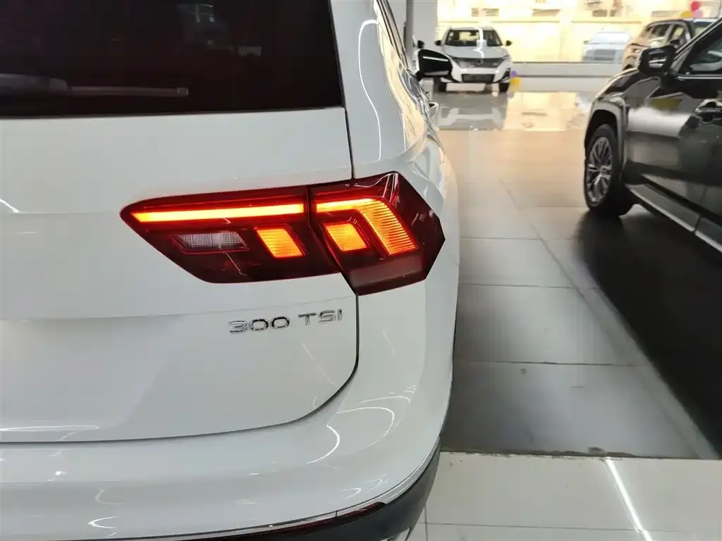 Volkswagen Tiguan L 2023 из CN, фото 4