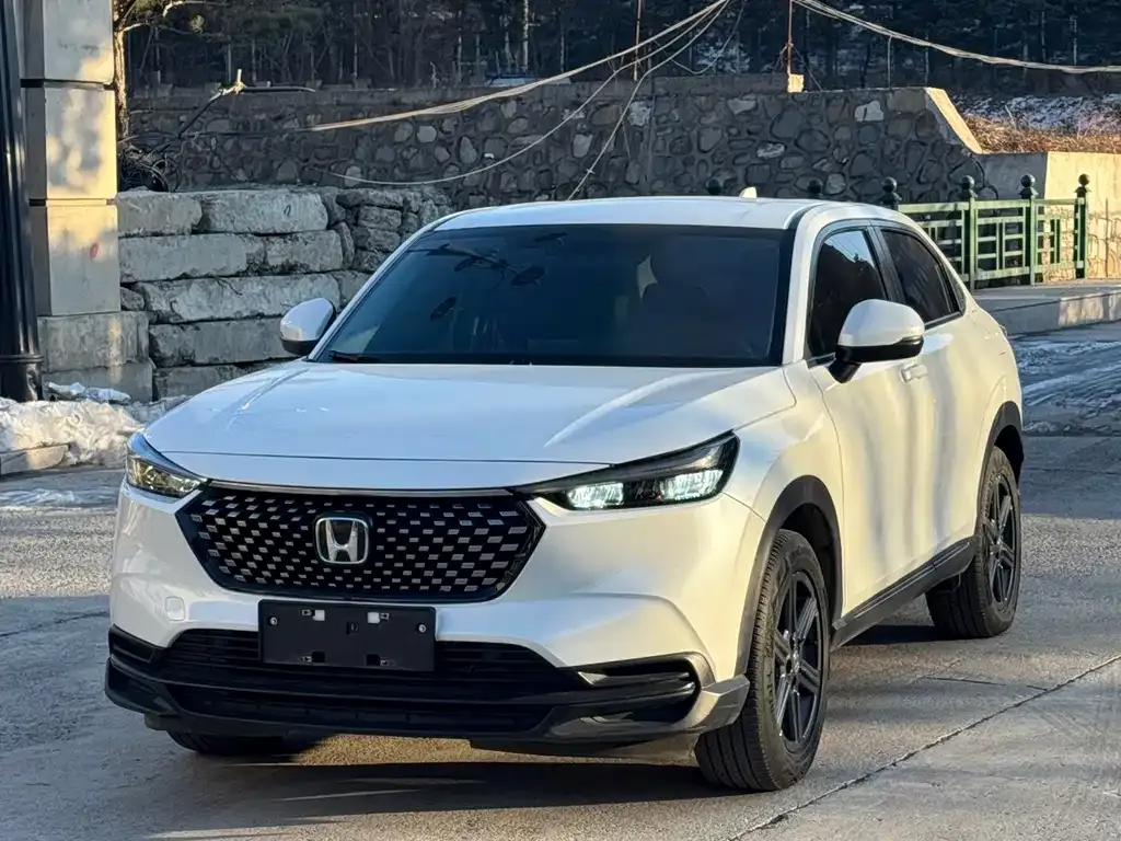 Honda XR-V 2023 из CN, фото 7