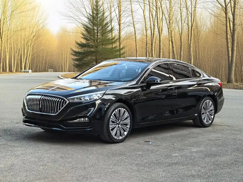 Hongqi H5 2022 из CN, фото 1