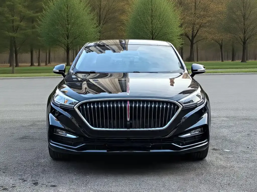 Hongqi H5 2022 из CN, фото 4
