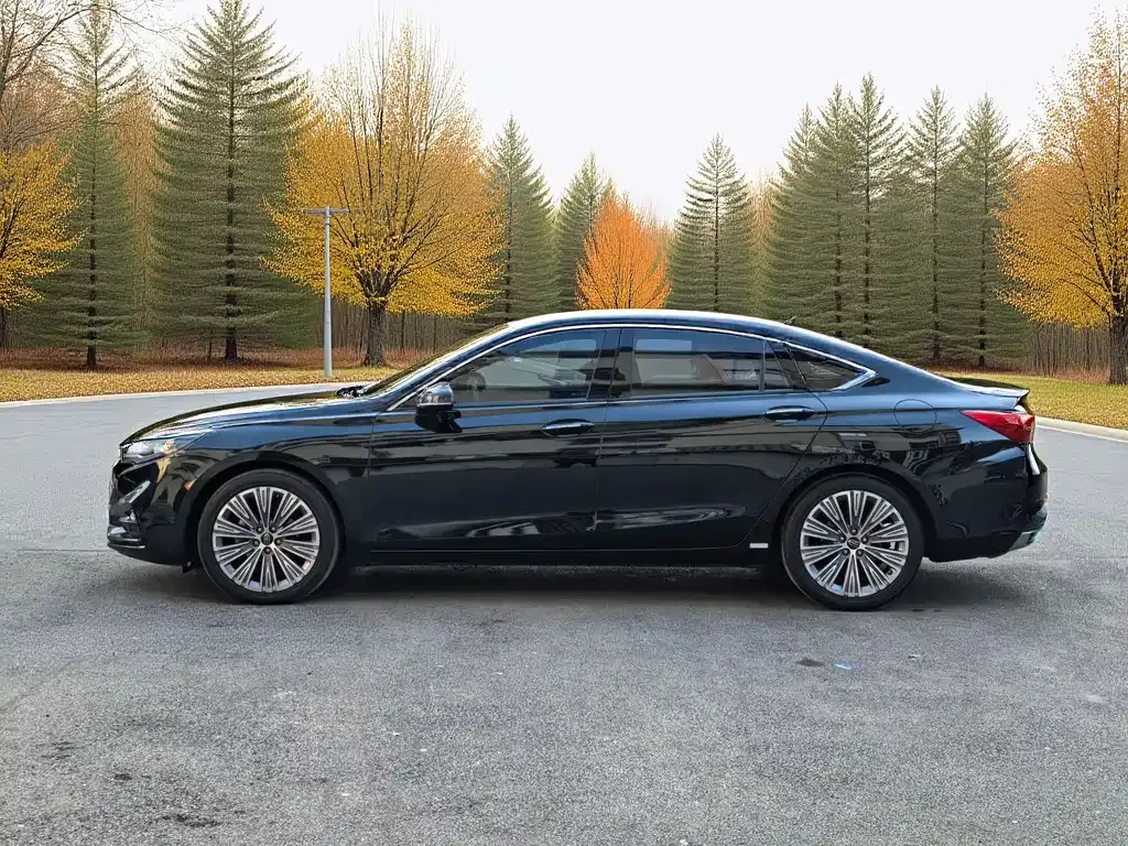 Hongqi H5 2022 из CN, фото 10