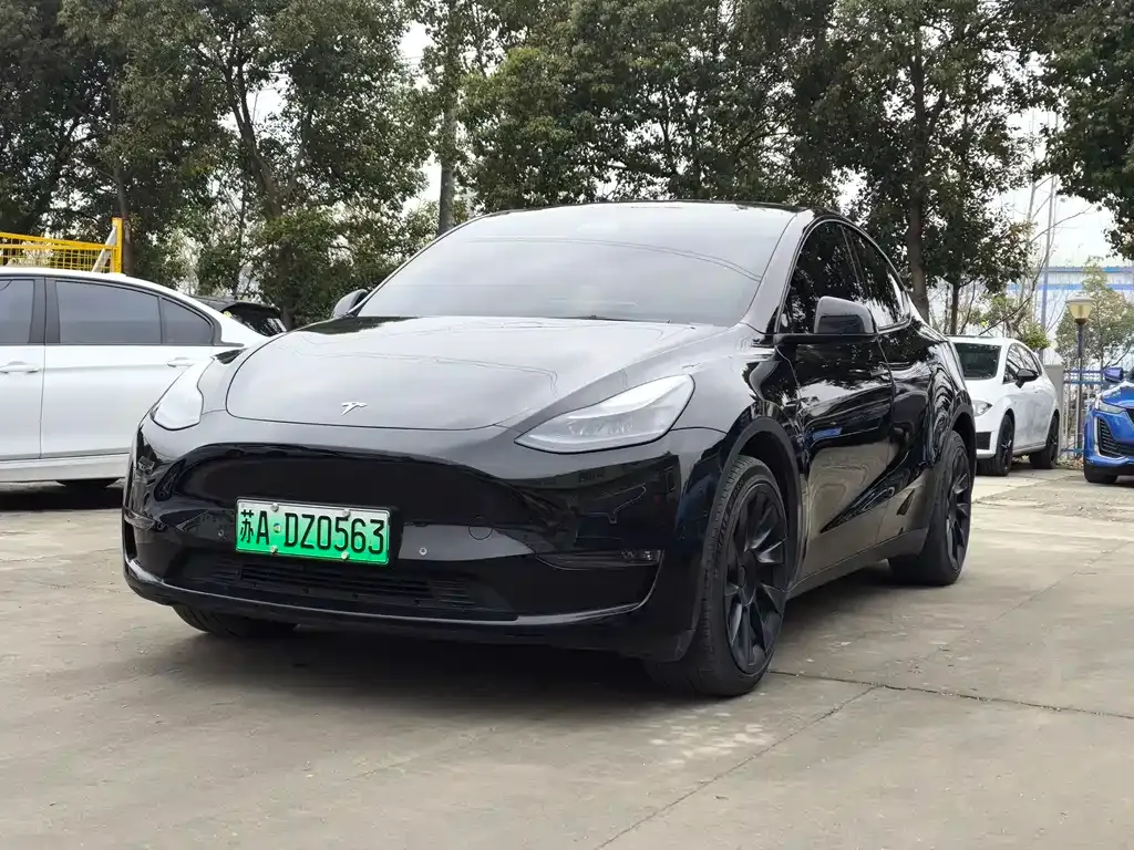 Tesla Model Y 2023 из CN, фото 1