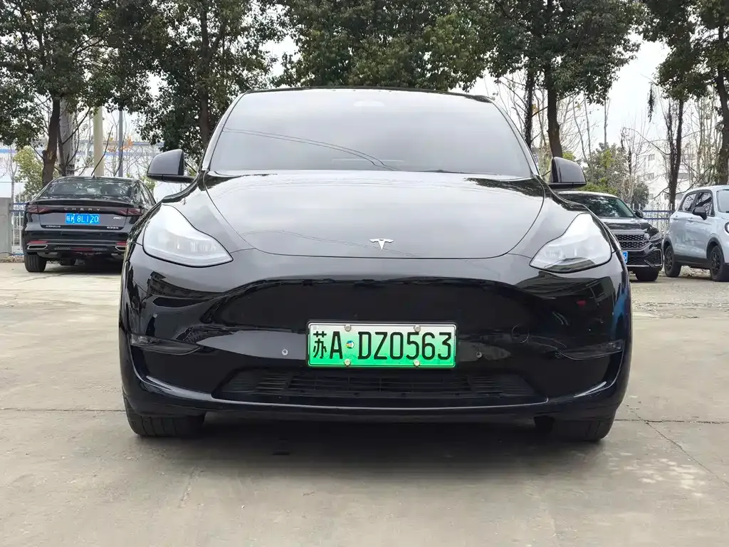 Tesla Model Y 2023 из CN, фото 4