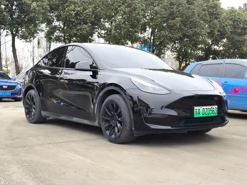 Tesla Model Y 2023 из CN, фото 7