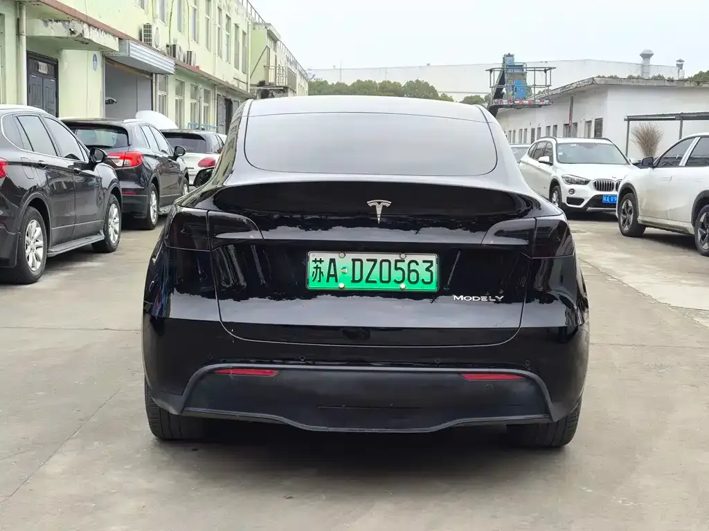 Tesla Model Y 2023 из CN, фото 5