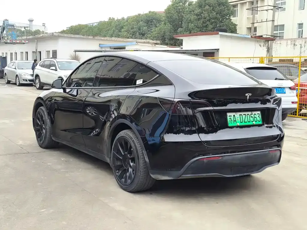 Tesla Model Y 2023 из CN, фото 6