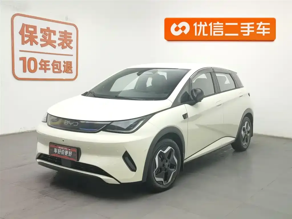 BYD Dolphin 2025 из CN, фото 1