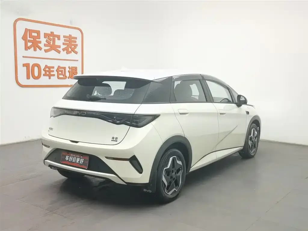 BYD Dolphin 2025 из CN, фото 4