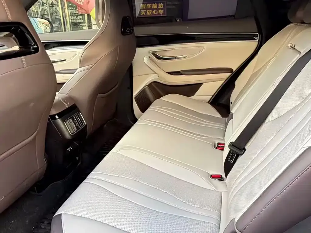 BYD PLUS New Energy 2025 из CN, фото 2
