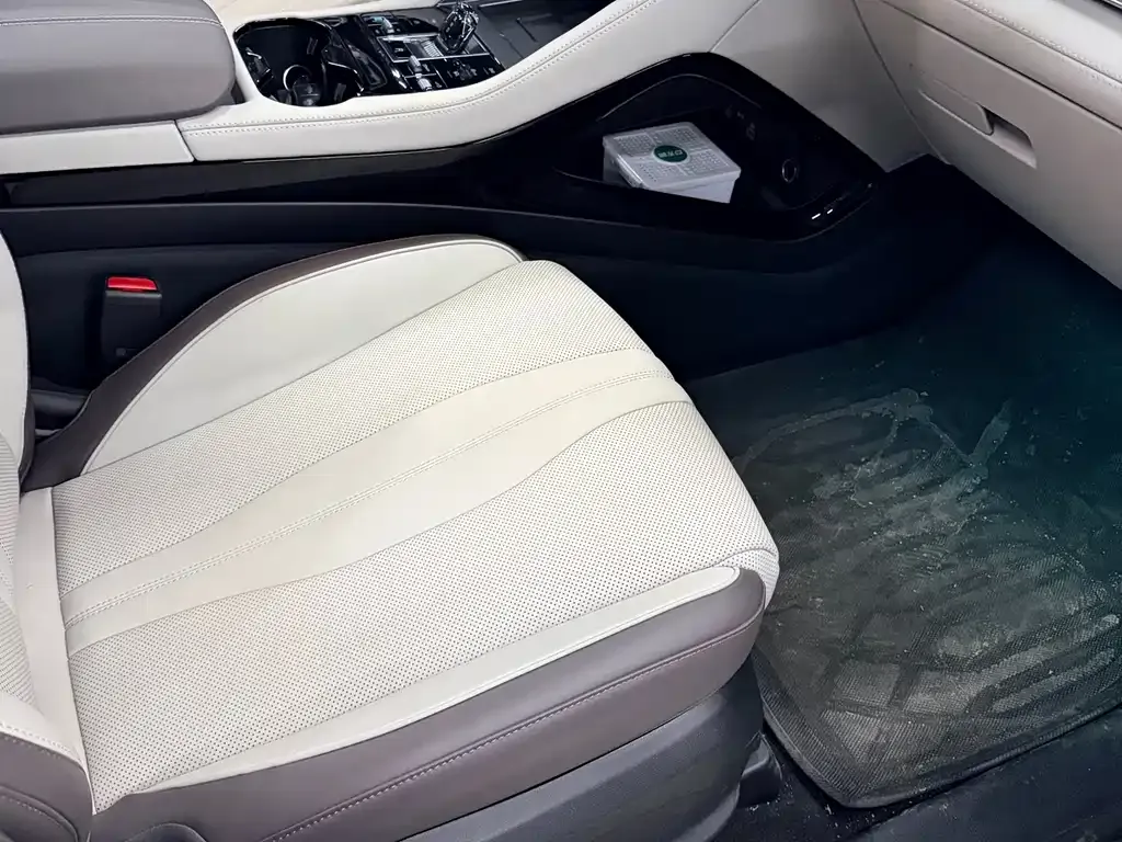 BYD PLUS New Energy 2025 из CN, фото 7
