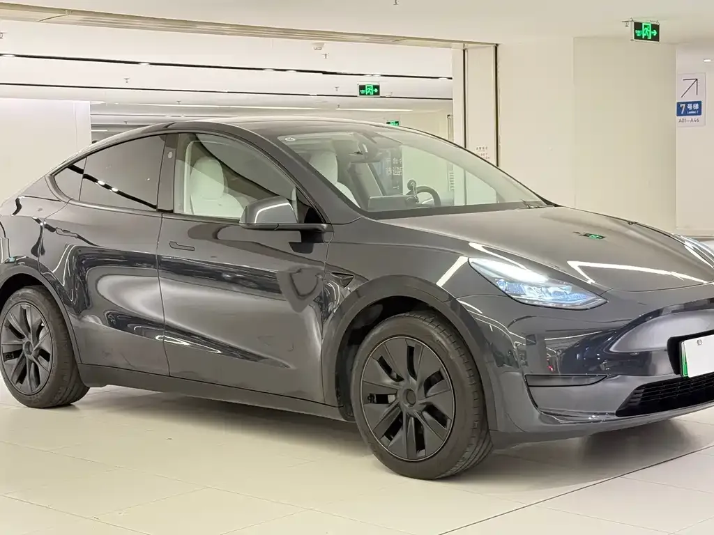 Tesla Model Y — фото 10