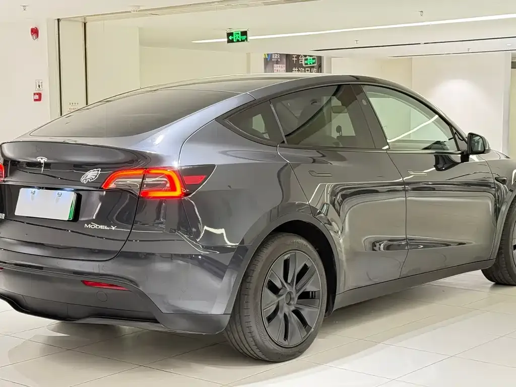Tesla Model Y — фото 6