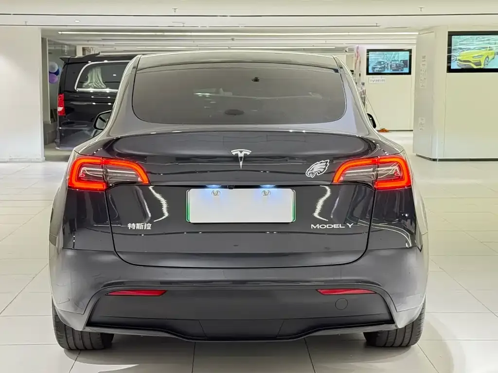 Tesla Model Y — фото 3
